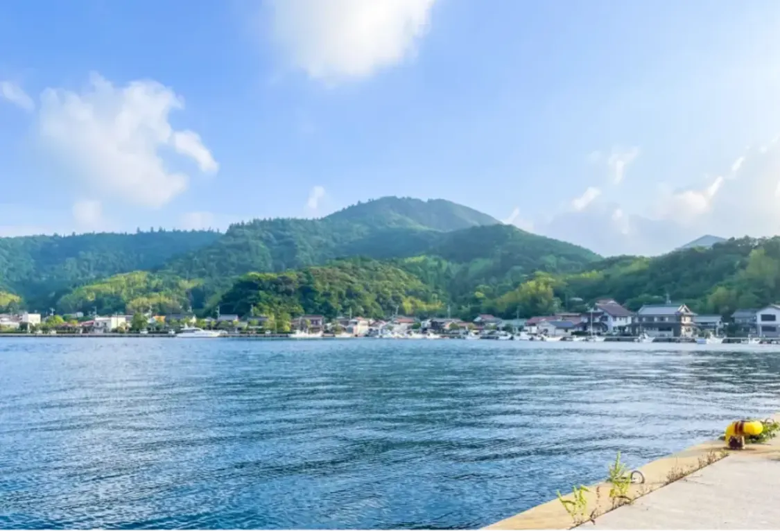 プロフィールコンテンツ