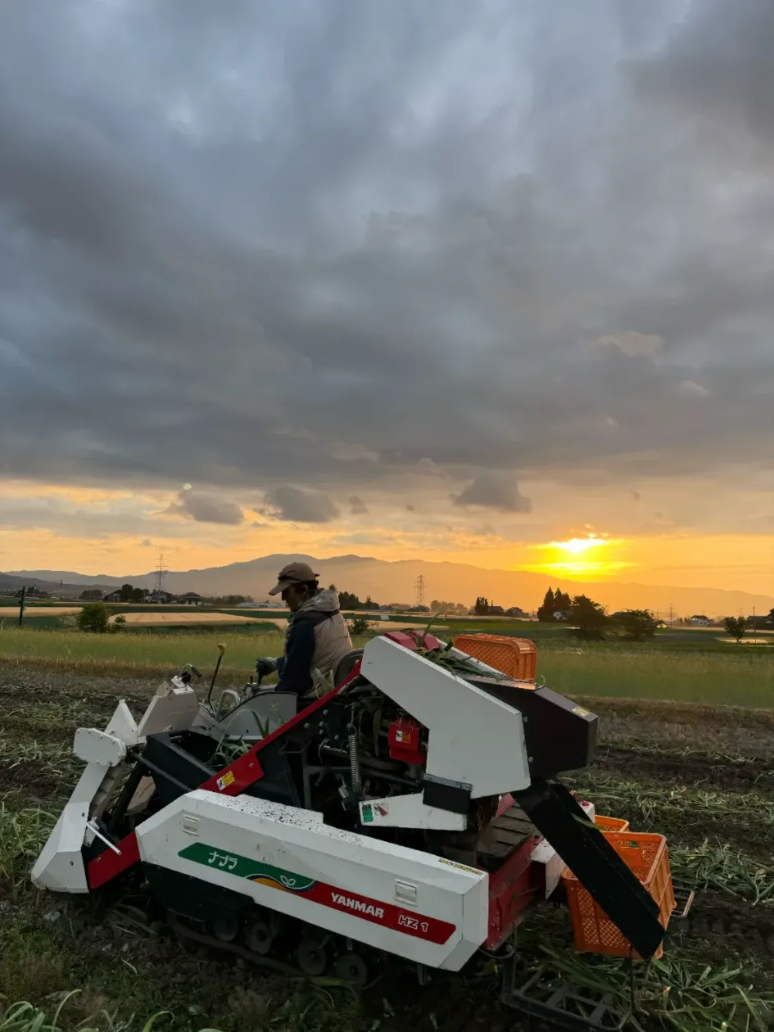 プロフィールコンテンツ