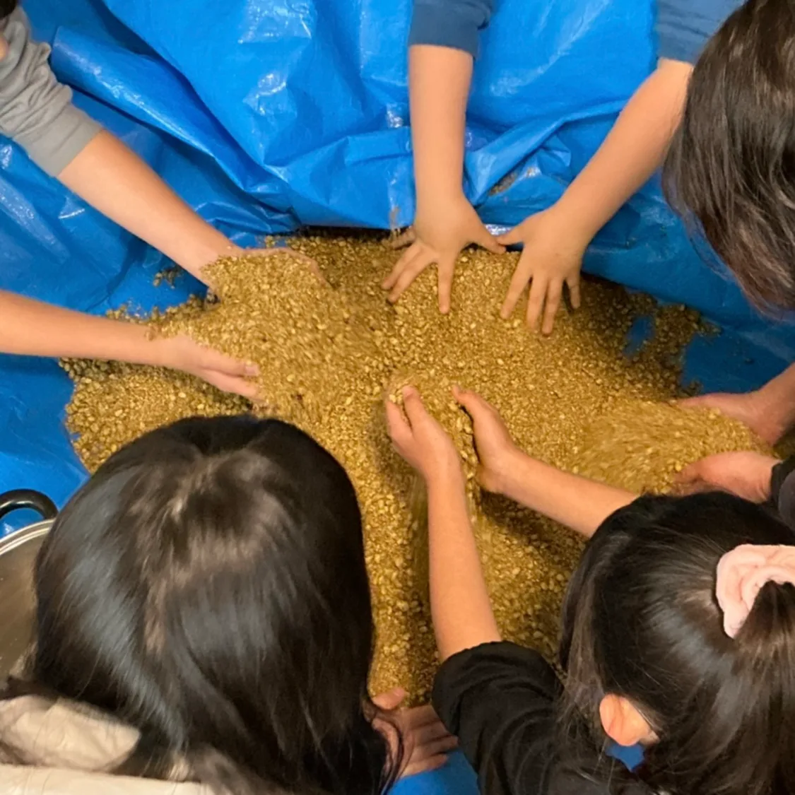 プロフィールコンテンツ