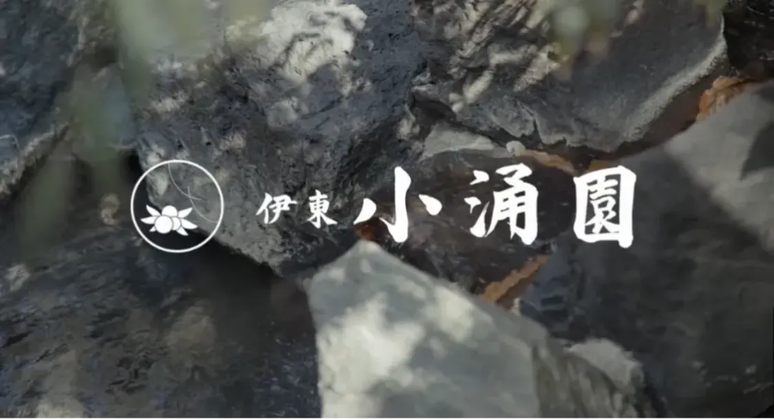 プロフィールコンテンツ