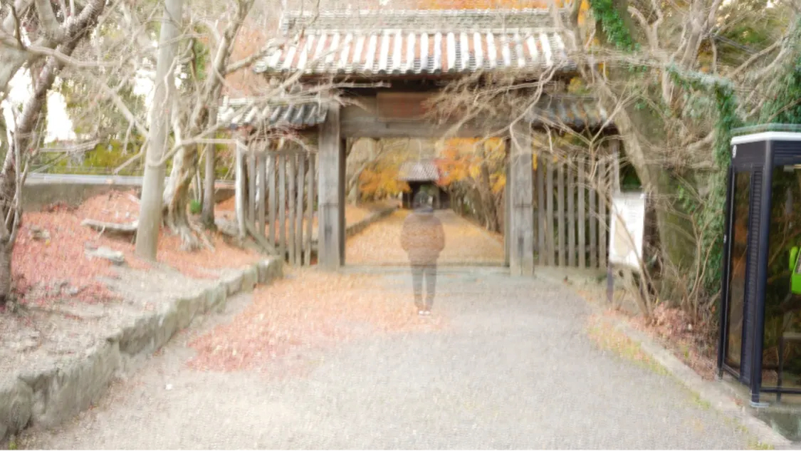 プロフィールコンテンツ