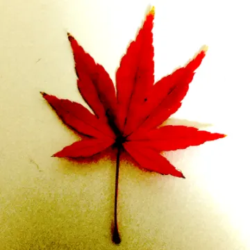 プロフィールアイコン