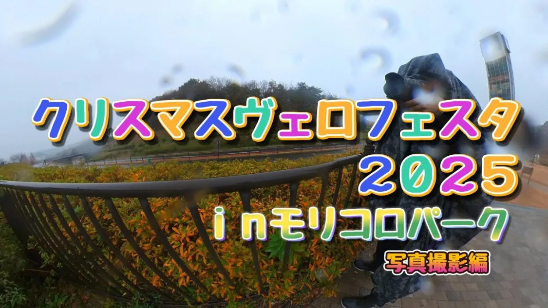 プロフィールコンテンツ