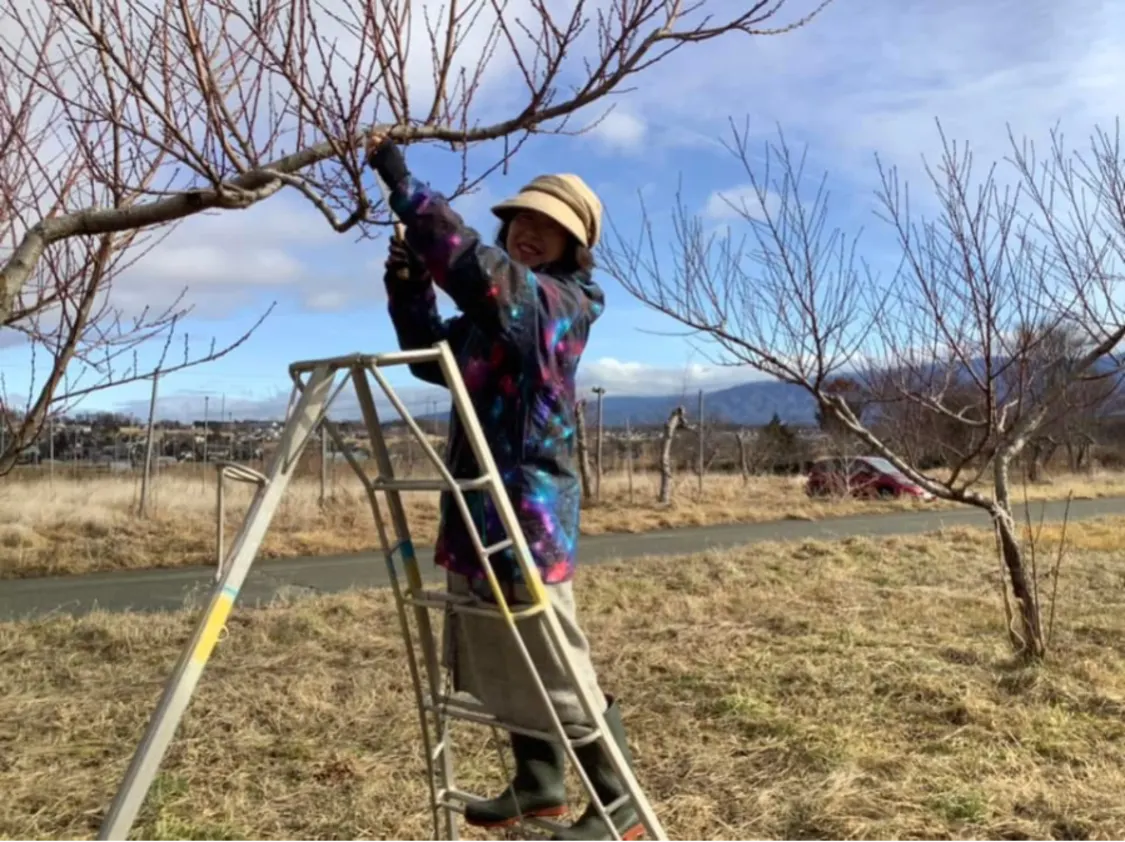 プロフィールコンテンツ