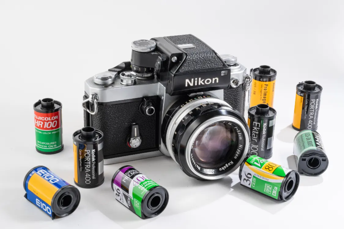 プロフィールコンテンツ