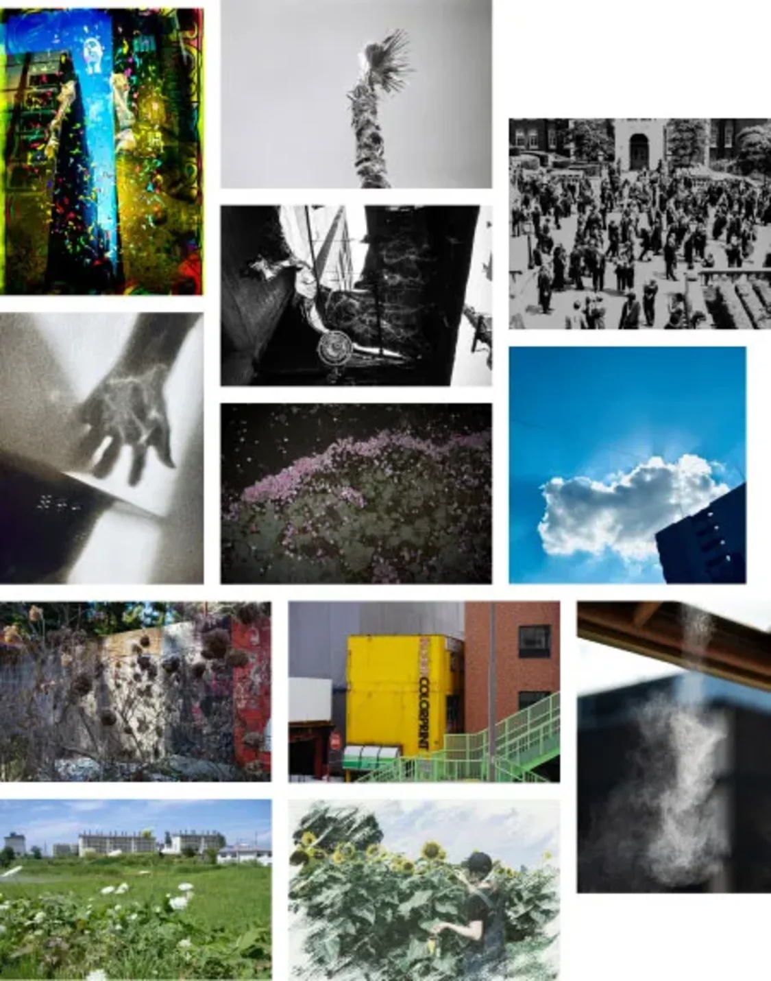 プロフィールコンテンツ