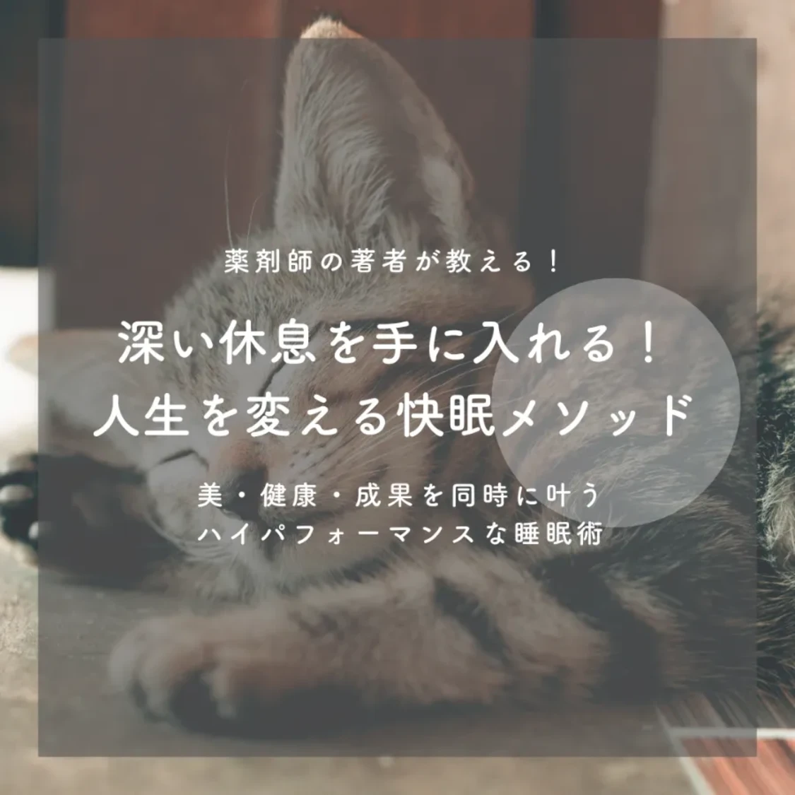 プロフィールコンテンツ