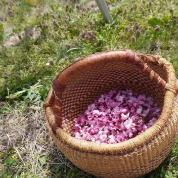 プロフィールアイコン