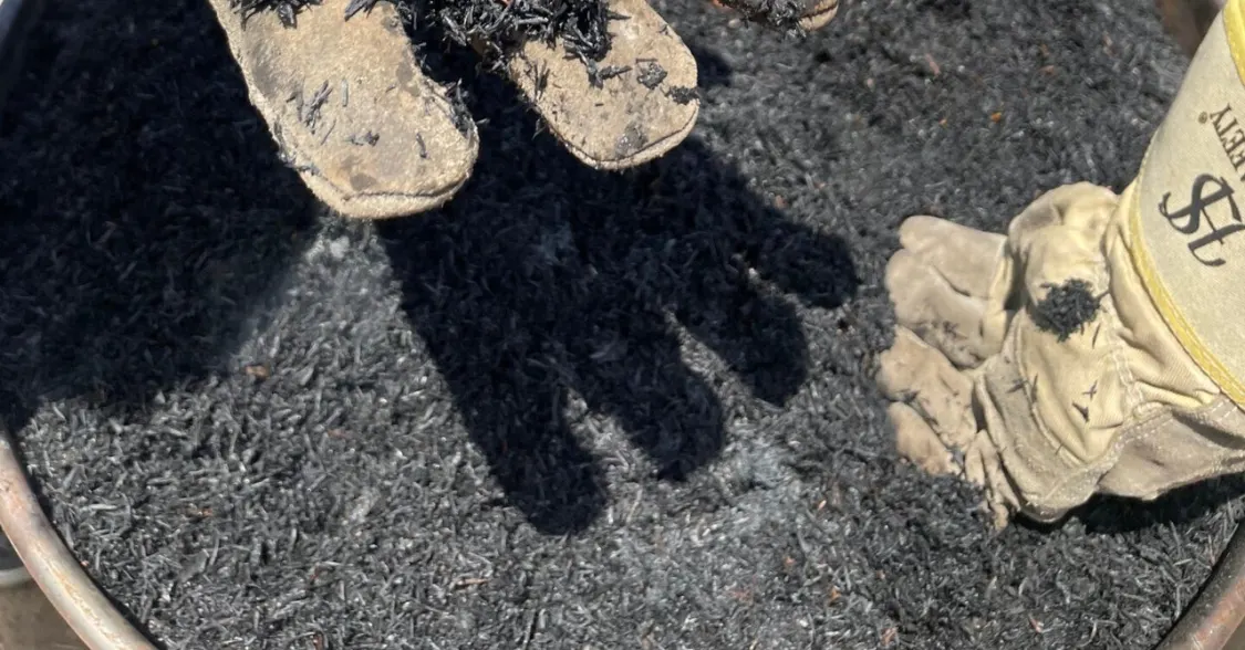 プロフィールコンテンツ