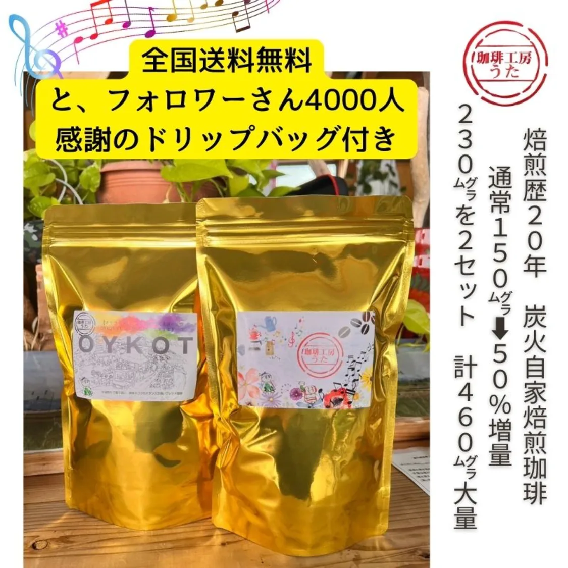 プロフィールコンテンツ