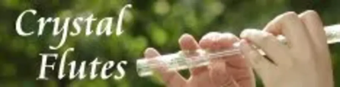 プロフィールコンテンツ