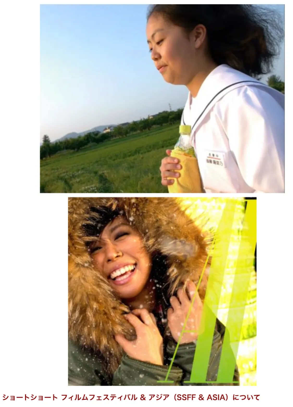 プロフィールコンテンツ