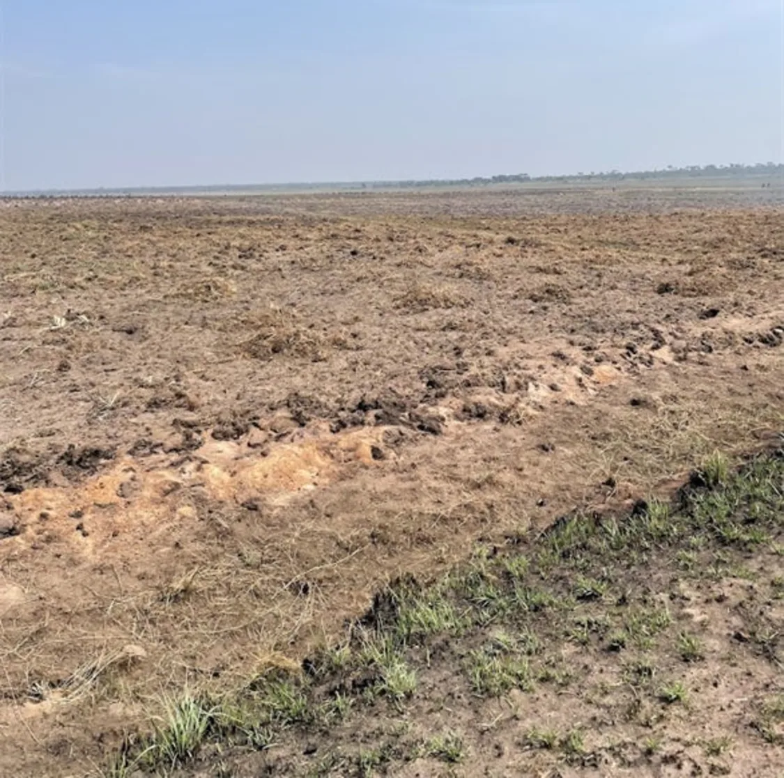 プロフィールコンテンツ