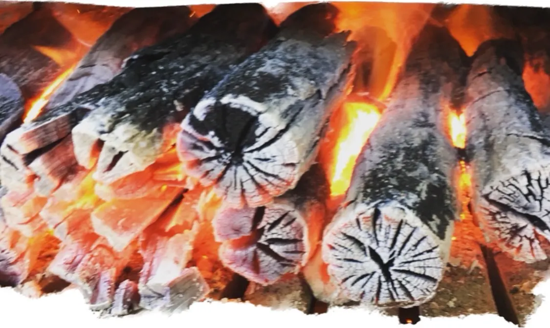 プロフィールコンテンツ