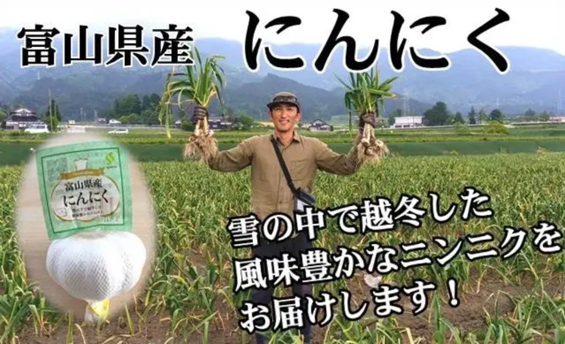 プロフィールコンテンツ