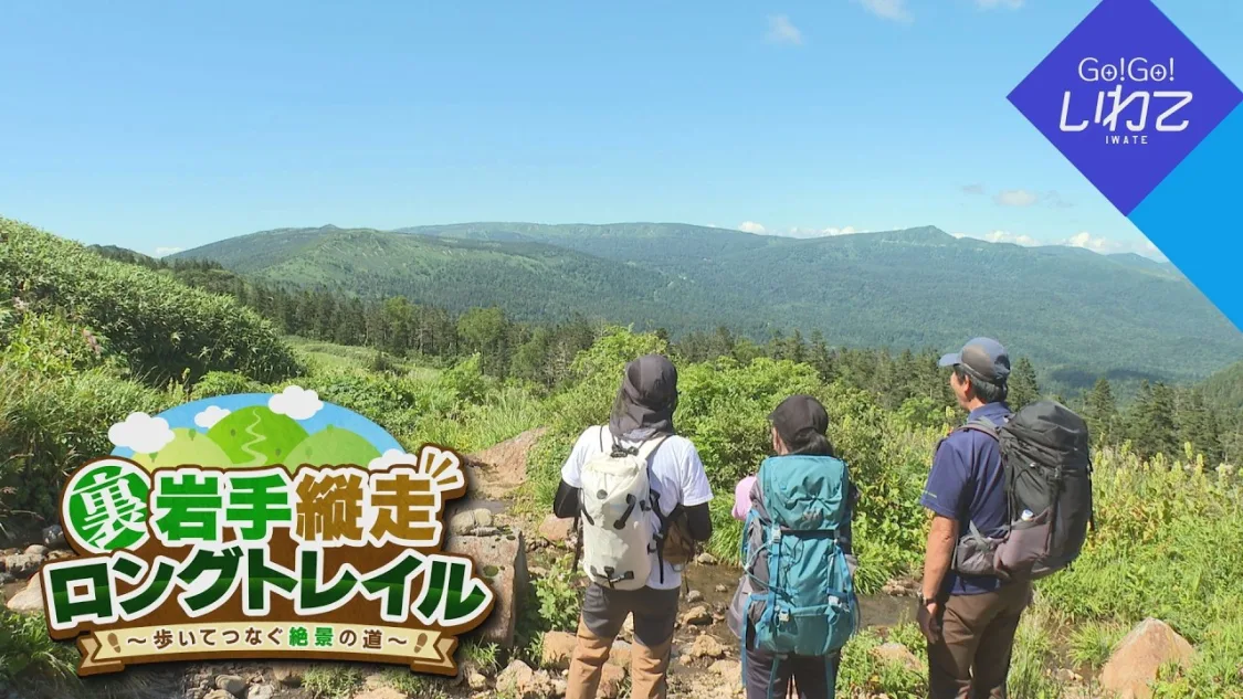 プロフィールコンテンツ