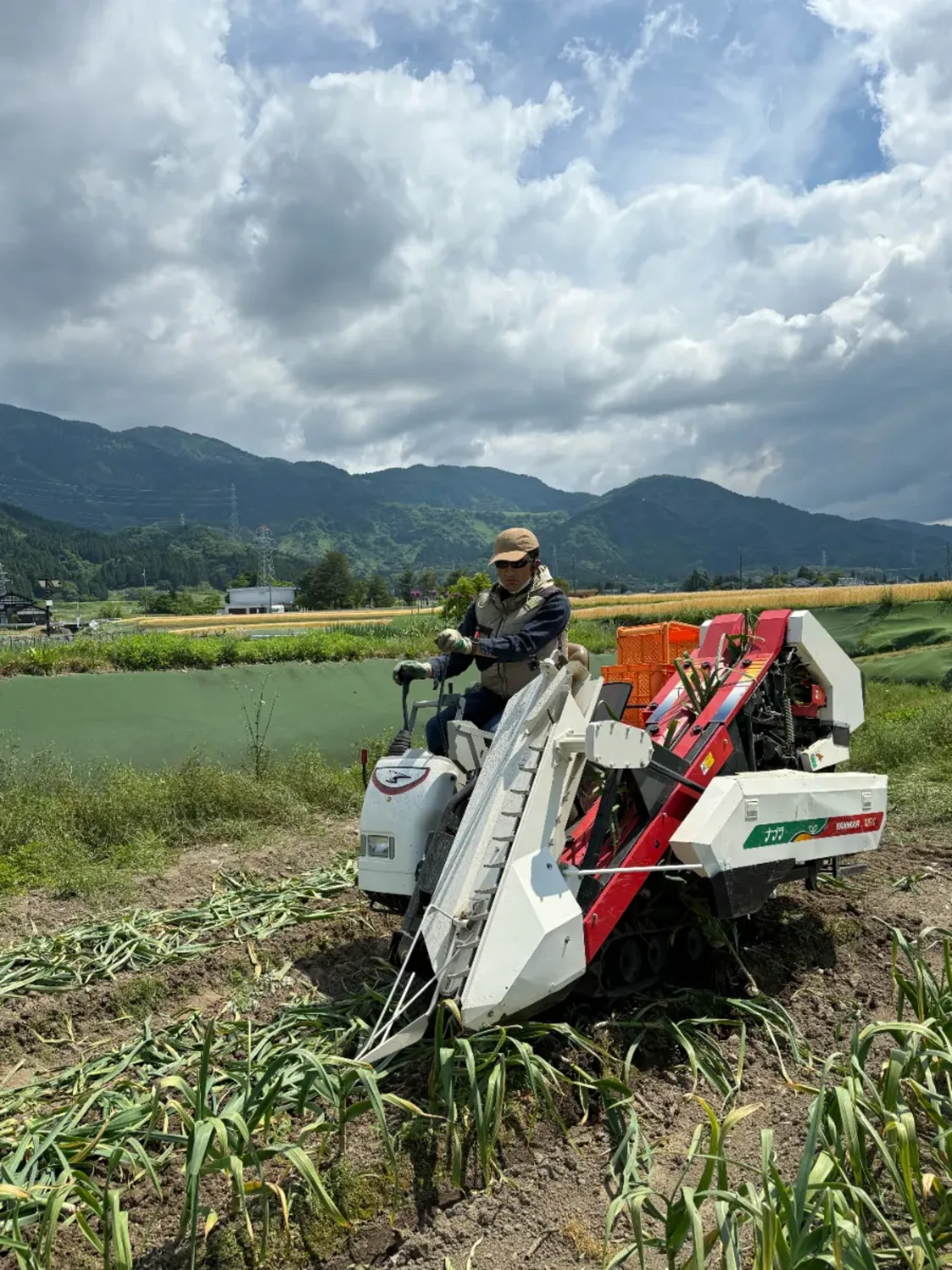 プロフィールコンテンツ