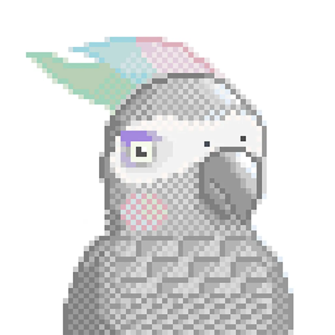 プロフィールコンテンツ