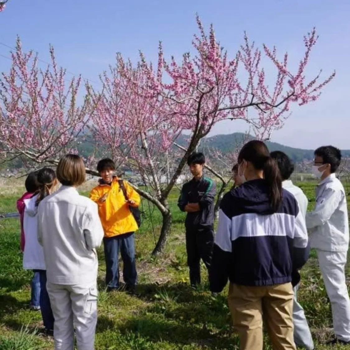 プロフィールコンテンツ