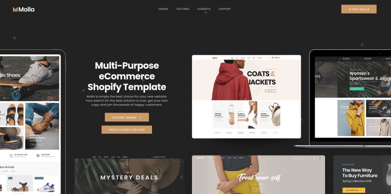 Best Shopify Themes 2021 3 Molla