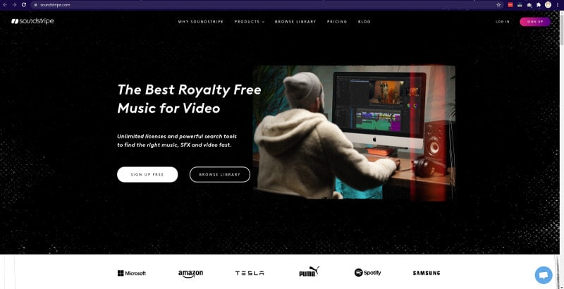 20 Successful Small Business Websites Design That Will Impress You 11 soundstripe