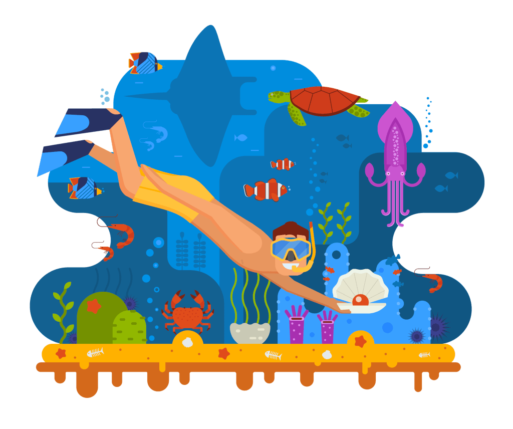 Website Developer in Mumbai 5 scuba