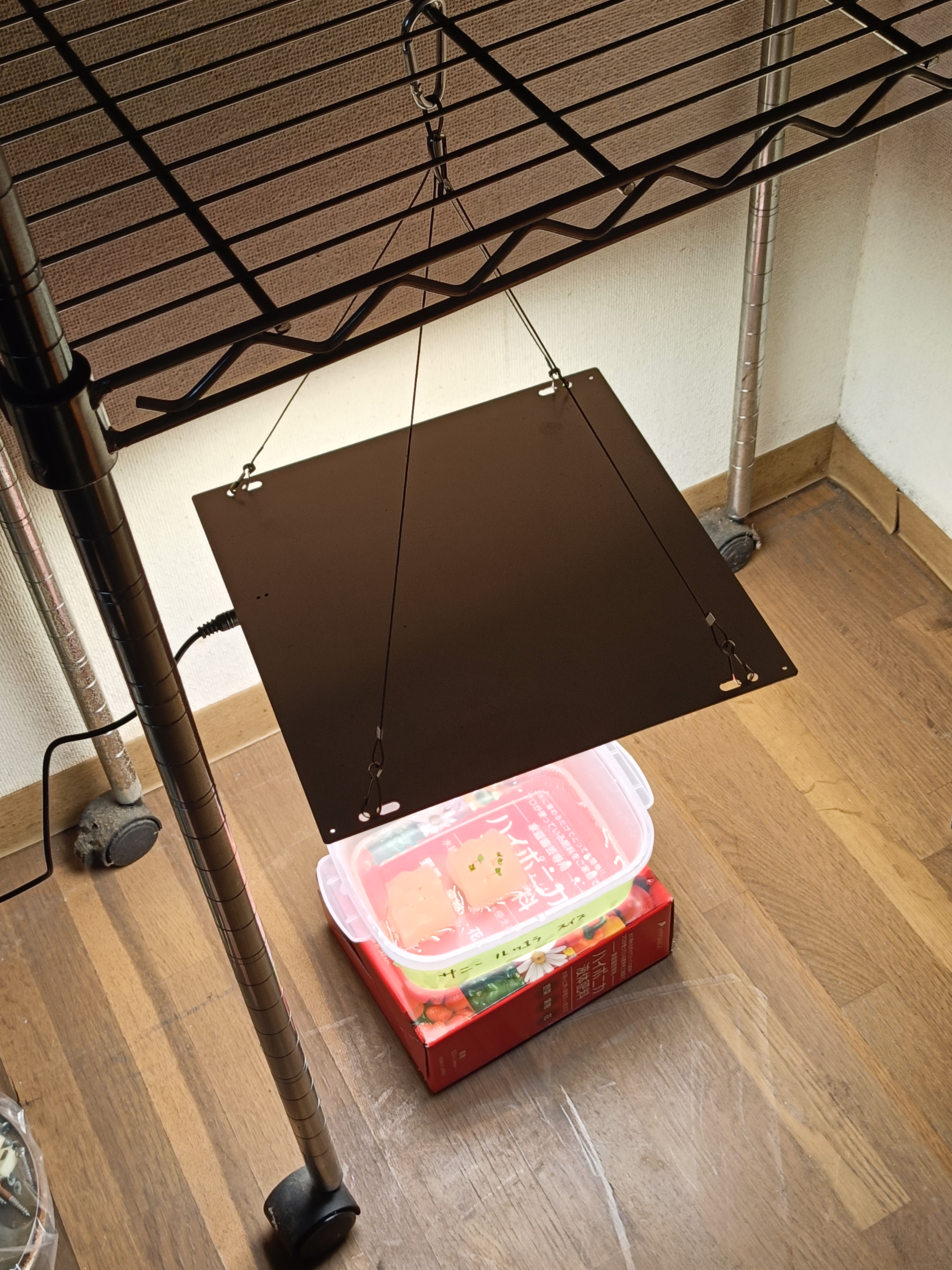 Seeds waiting to grow under LED