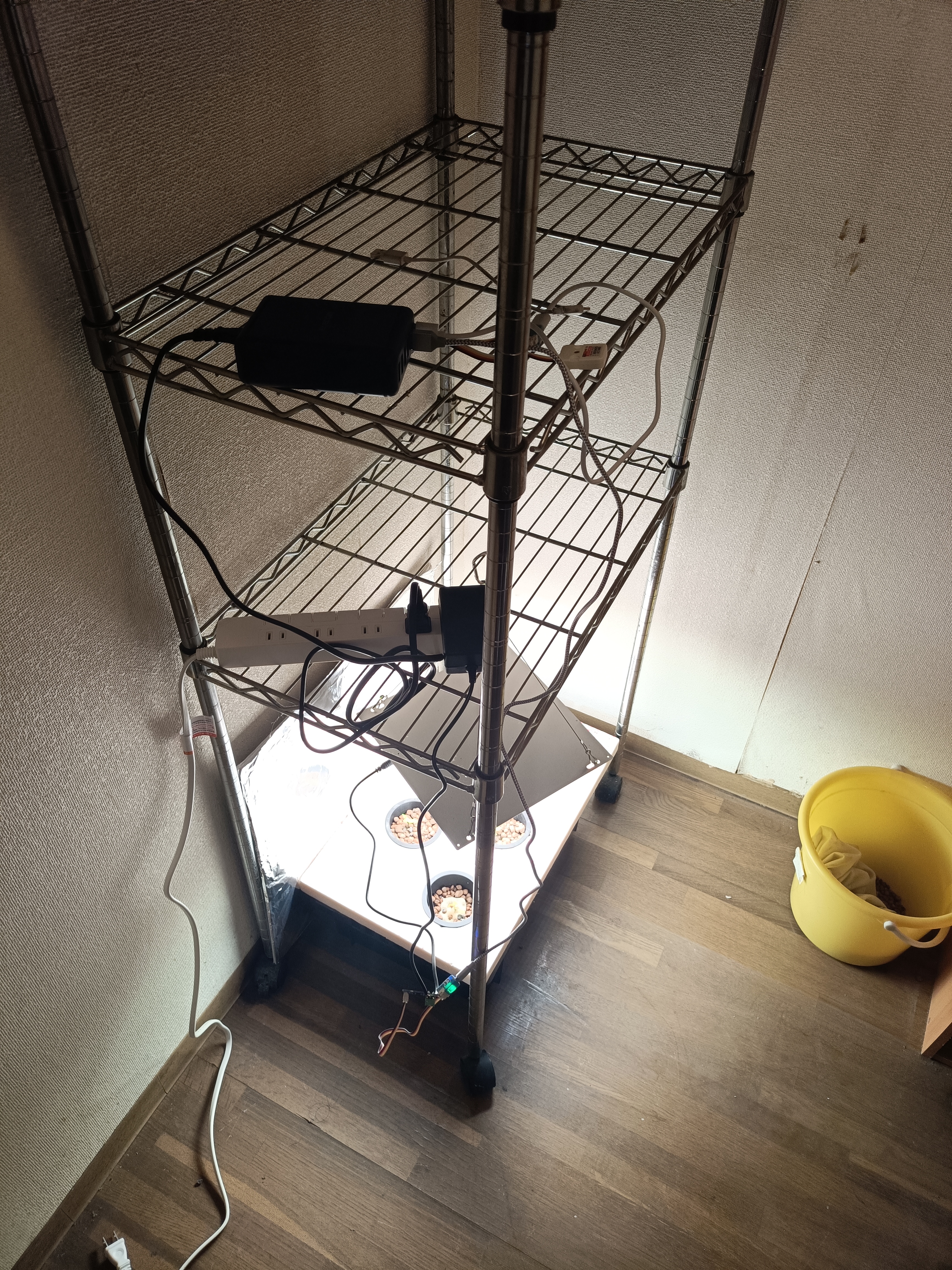 Full hydroponic system view