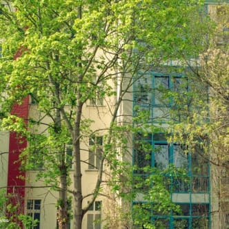 shu140731さんの写真