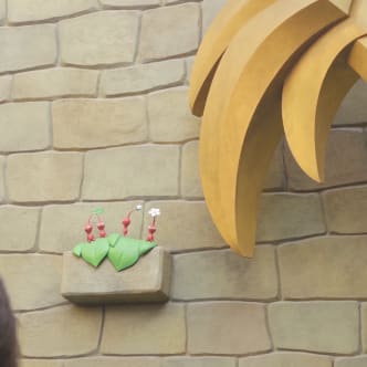 shuji61さんの写真