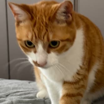 ききまるさんの写真