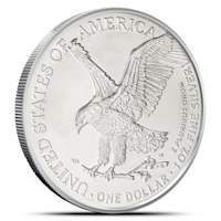 Buy 2023 1 oz Colorized American Silver Eagle Coin | BullionMax ™