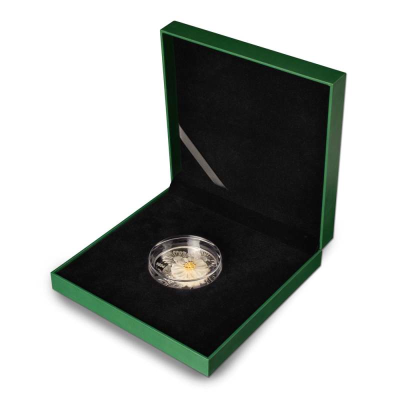 Buy 2024 2 oz Proof Solomon Islands Silver 3D Daisy Flower Coin
