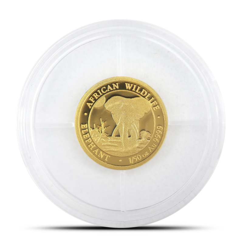 2025 Somalia Elephant 1/50 oz Gold Coin BU - Provident Metals™