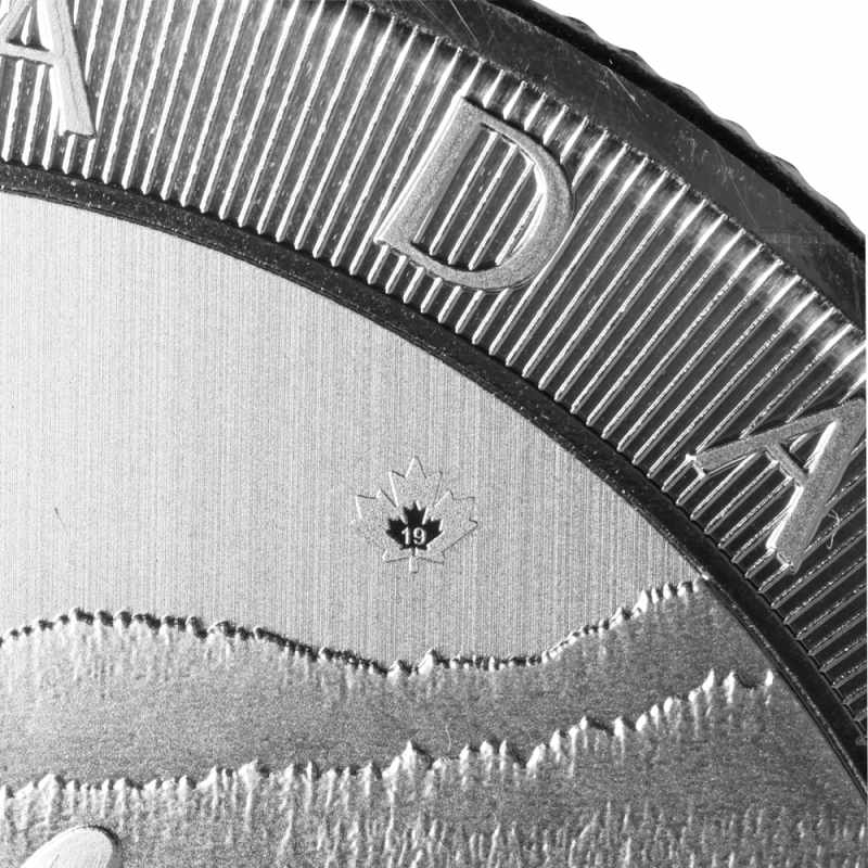 2019 Canadian Orca Whale 10 oz Silver Coin - Provident Metals™