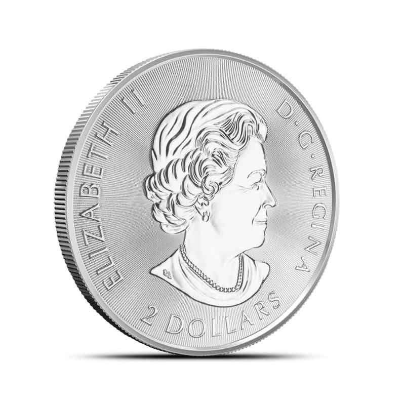 2020 Canadian Red-Tailed Hawk 1/2 oz Silver Coin - Provident Metals™