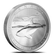 2019 Canadian Orca Whale 10 oz Silver Coin