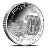 2026 Somalia Elephant 1 Kilo Silver Coin BU