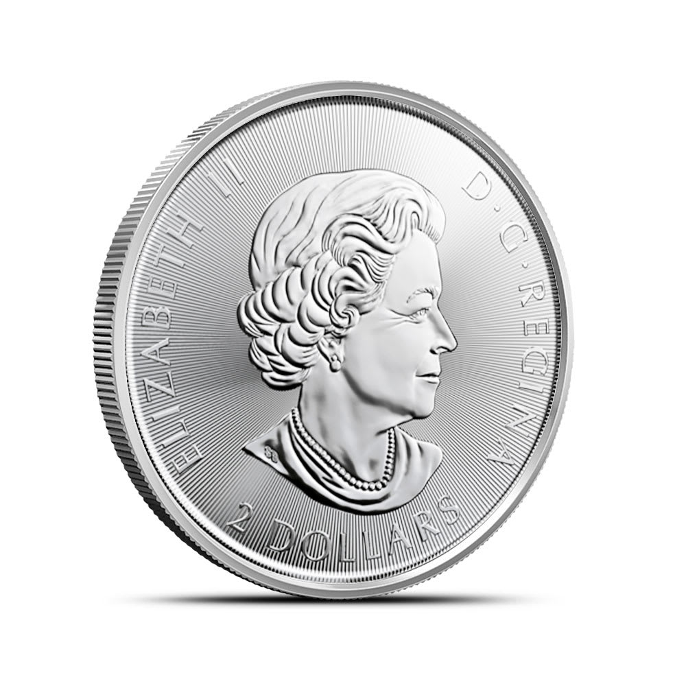 2021 Canadian Red-Tailed Hawk 1/2 oz Silver Coin - Provident Metals™