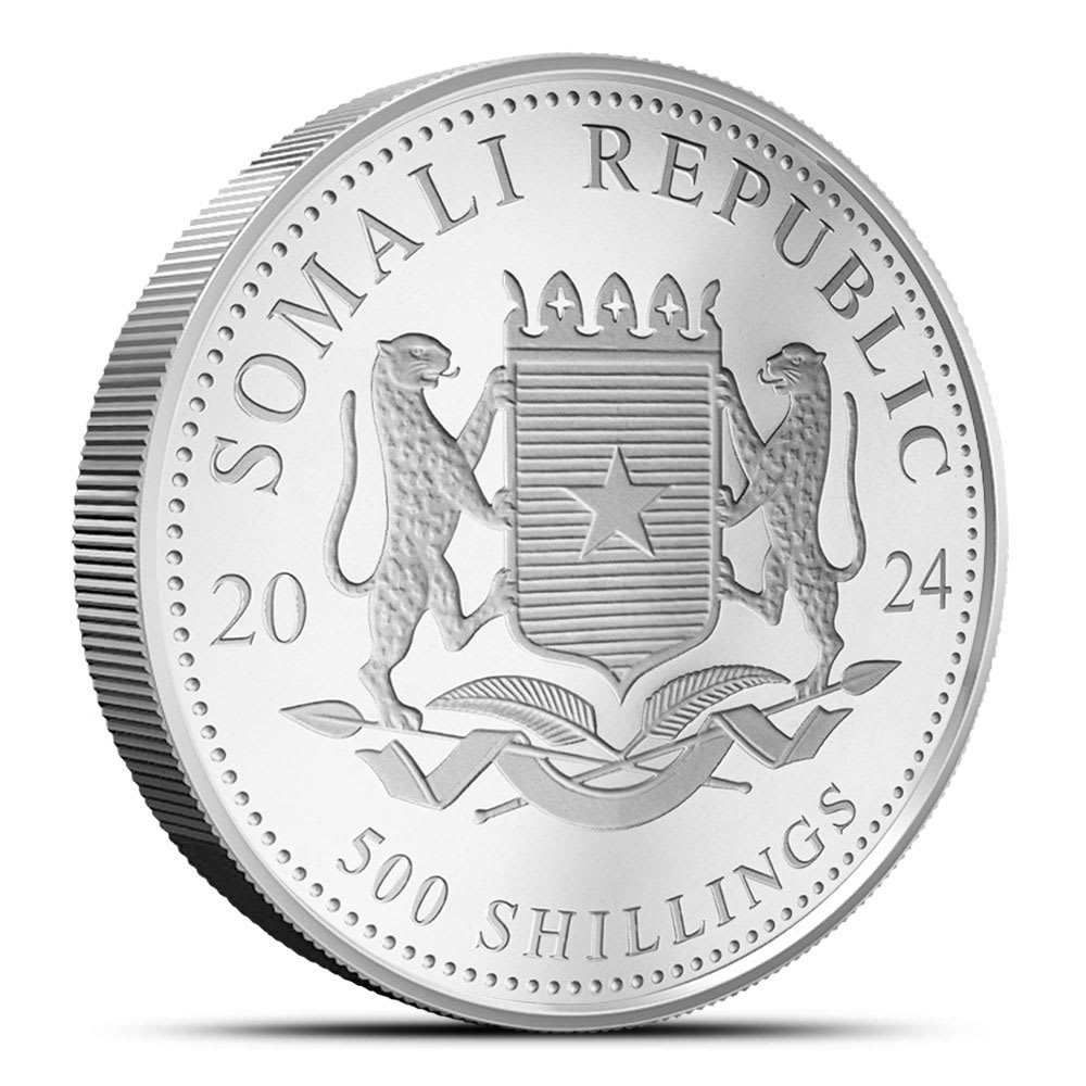 2024 Somalia Elephant 5 oz Silver Coin - Provident Metals™