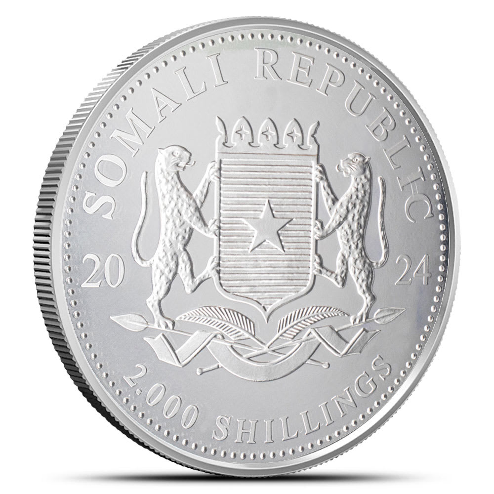 2024 Somalia Elephant 1 Kilo Silver Coin - Provident Metals™
