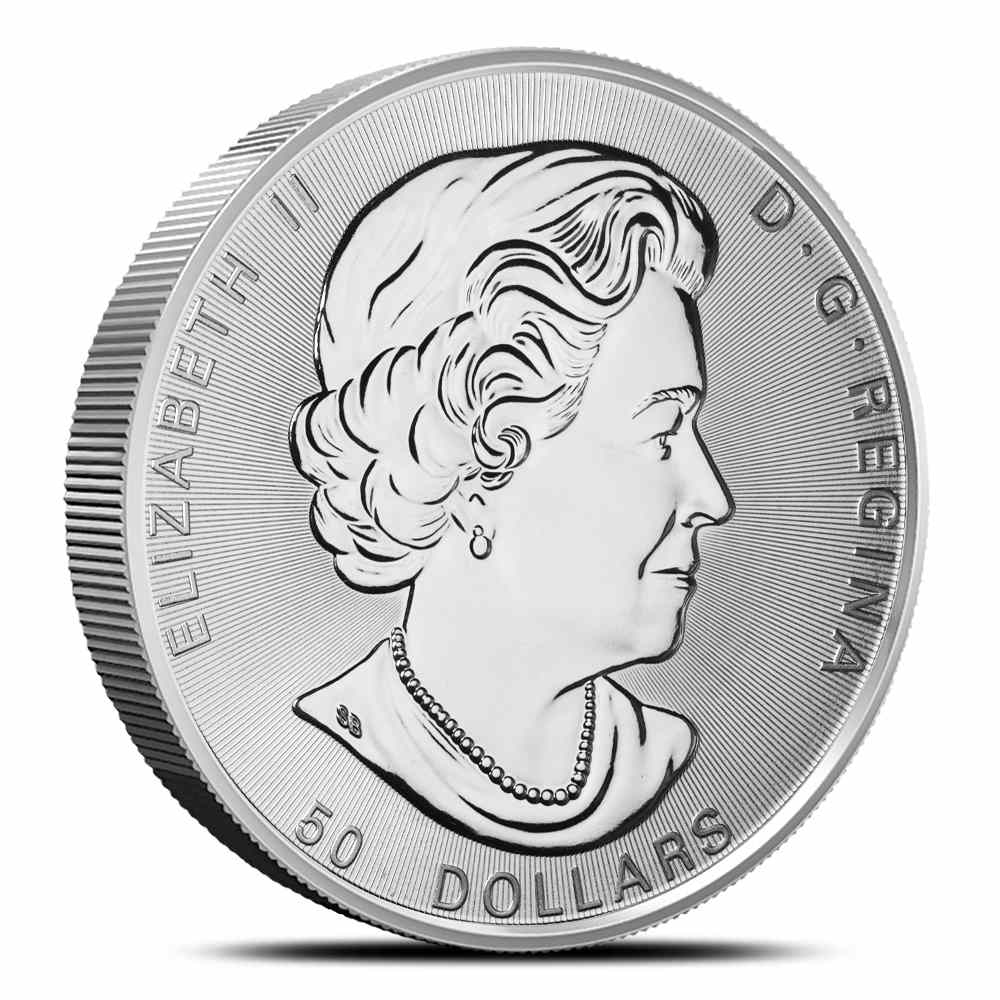 2019 Canadian Orca Whale 10 oz Silver Coin - Provident Metals™