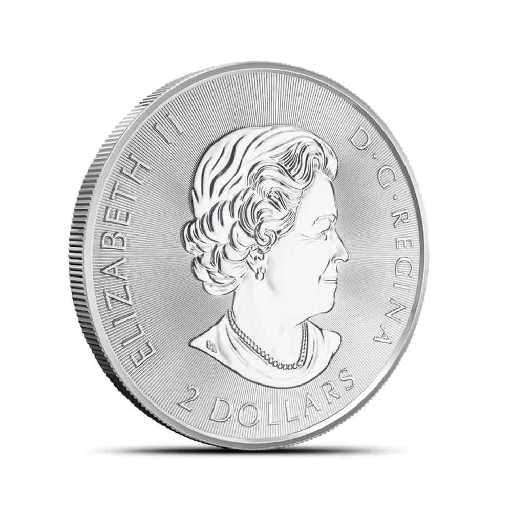 2020 Canadian Red-Tailed Hawk 1/2 oz Silver Coin - Provident Metals™
