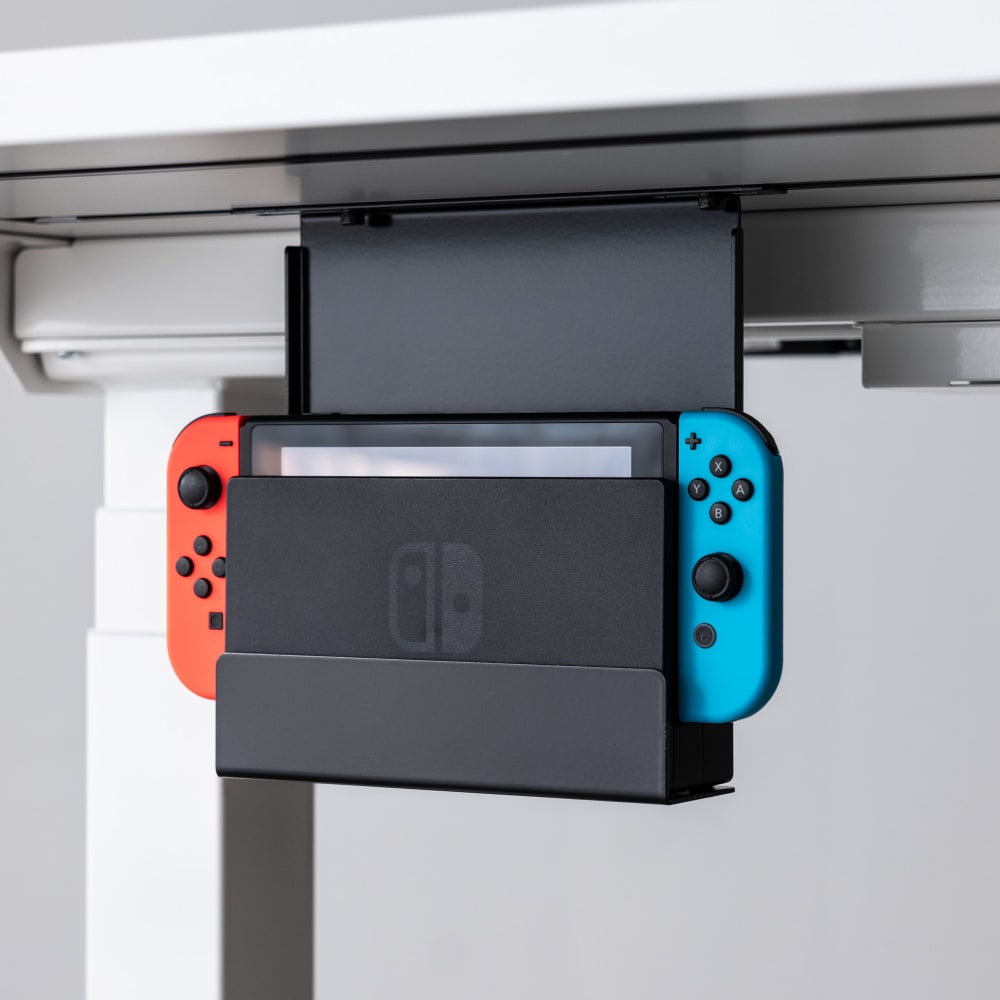 Mount for Switch