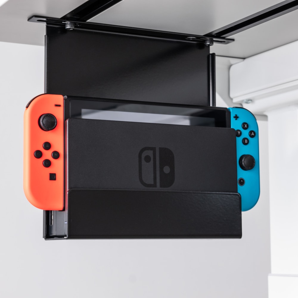 Mount for Switch