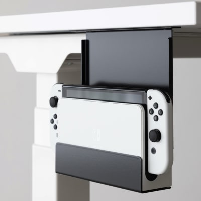 Mount for Switch