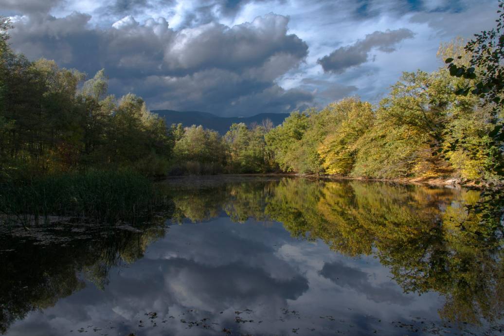 Location de salle de réunion à Divonne-les-Bains