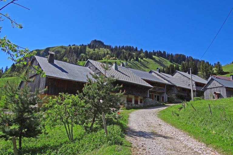 Conférence en images, plongez dans la découverte du Chablais image2