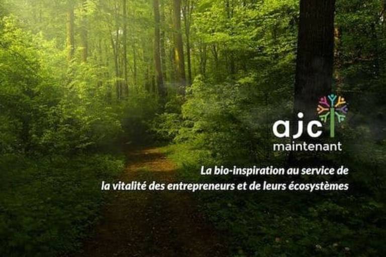 Loups, chevaux, araignées, arbres, fleurs : s'inspirer du vivant pour développer son entreprise image1