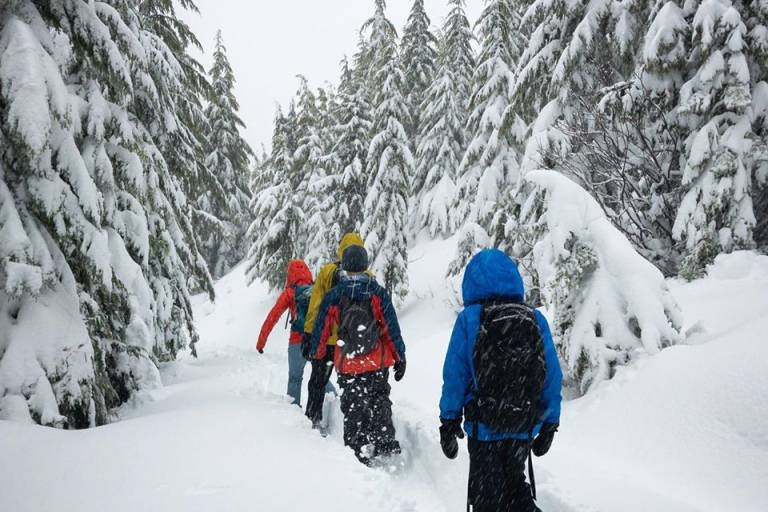 Séminaire hiver : randonnée en raquettes avec vin chaud image1